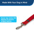 PetSafe Nylon Dog Leash – Strong, Durable, Traditional Style Leash with Easy to Use Bolt Snap for Small, Medium and Large Dogs – 3/8" x 6', Red...