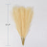 CHUKCHI Faux Pampas Grass - 17.7" 6 Bunches (3 Beige and 3 Taupe Brown) Fluffy Artificial Dried Pampas Grass, Used for Flower Arrangements Home De...