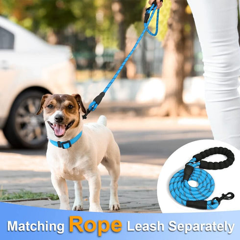 Taglory Reflective Adjustable Dog Collars for Puppy Small Medium Large Dogs, Thin Nylon Webbing and Quick Release Plastic Buckle(Aqua Blue,XSmall)...