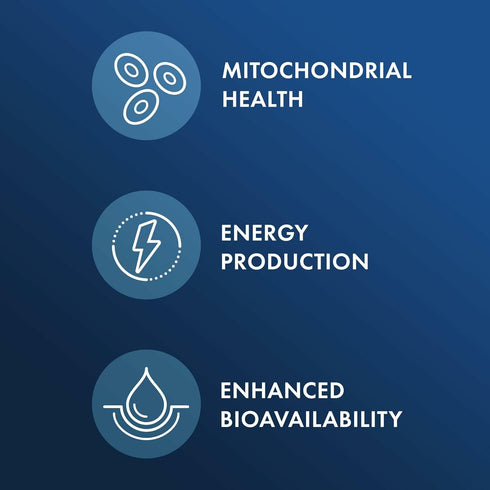 Dr. Mercola Berberine and MircoPQQ Advanced - Offers Metabolic, Mitochondrial, Brain & Immune Support - GMO-Free, Gluten-Free & Soy-Free - 30 Caps...