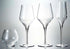 Luigi Bormioli Supremo 15.25 oz Pinot Noir Stemless Wine Glasses (Set of 2), Clear...