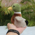 Cute Mallard Duck Plush Stuffed Animal Pillow Toys Lifelike Green Duck Stuffed Animal Plush Plushie Toy Soft Plush Doll for Birthday Kids Gifts Ho...