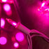200 Pink LED Christmas Lights with Pink Wire, Pack of 2 Sets 33 ft 100 Count UL Certified Commercial Grade String Light...