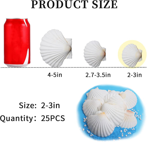 25pcs Scallop Shells for Crafts, 2-3 Inches White Large Natural Seashells for DIY Home Decor, Baking Shells for Serving Food...