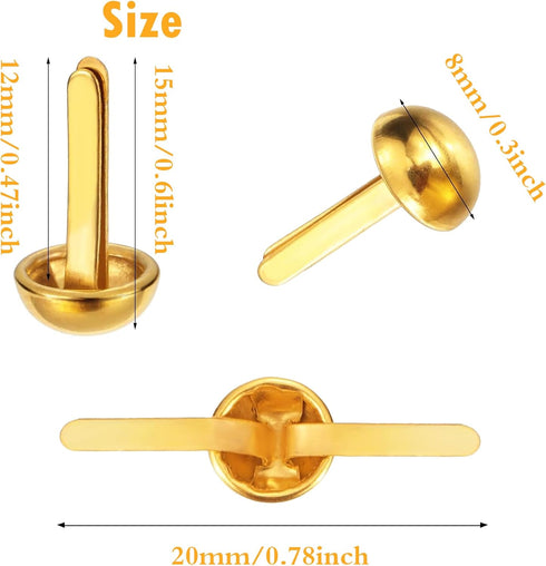 EuTengHao 700Pcs Brass Fasteners Scrapbooking Brads Round Head Brass Plated Fasteners for Craft Art Crafting School Decorative Scrapbooking DIY Su...