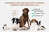 Soos Pet Dog Shampoo for Cats and Pets Mineral Rich Mud Natural Dead Sea Cruelty Free Fast Absorbing Skin Cooling First Aid Antib-acterial and Ant...