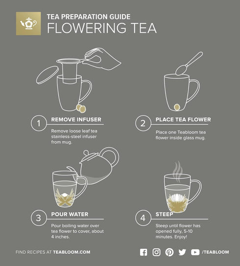 Teabloom Double-Wall Borosilicate Glass Mug with Stainless Steel Infuser and Lid – 15 OZ / 430 ML – 2 Gourmet Tea Flowers Included...