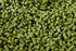 8566735 Simcoe Hop Pellets 1 lb....