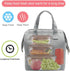 Mziart Insulated Lunch Bag Simple Bento Cooler Bag Lunch Tote Bag for Lunch Box for Women Men Adult Picnic Working Hiking Beach (Grey)...