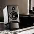 Audioengine DS1 Small Angled Speaker Stand - Designed for A1, A2+, A2 HD or Similarly Sized...