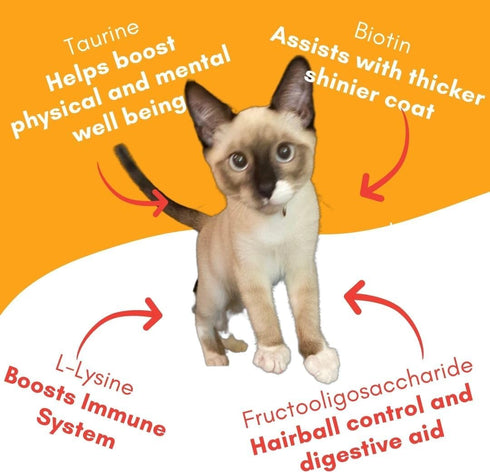 Lickable Cat Treat Pouches for Indoor Cats - All Natural Chicken Puree Tube Treats - Kitten and Senior Soft Wet Cat Food - Grain Free, Lysine, Tau...