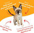 Lickable Cat Treat Pouches for Indoor Cats - All Natural Chicken Puree Tube Treats - Kitten and Senior Soft Wet Cat Food - Grain Free, Lysine, Tau...