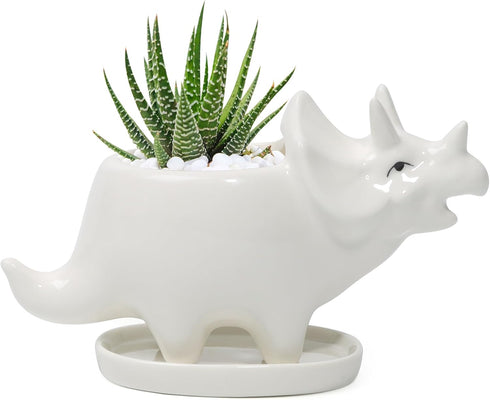 Adorable Ceramic Dinosaur Succulent Planter with Drainage for Home Decor,Animal Plant Pot, White Ceramic Triceratop Cactus/Flower Container (Trice...