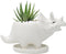 Adorable Ceramic Dinosaur Succulent Planter with Drainage for Home Decor,Animal Plant Pot, White Ceramic Triceratop Cactus/Flower Container (Trice...