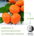 Fake Mini Tangerine Orange Artificial Fruit Simulation Fake Lifelike for Home Party Kitchen Festival Decoration 3 pcs...