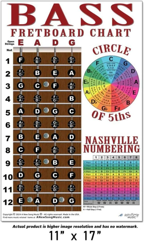4 String Bass Instructional Chart with Fretboard Notes Poster - Nashville Numbering System - Circle of 5ths | A New Song Music | 11"x17"...