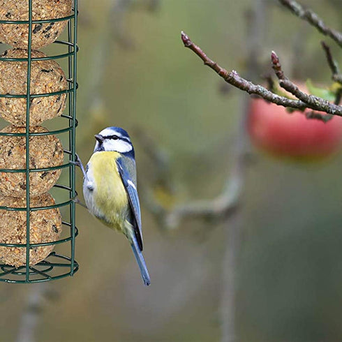 Suet Ball Bird Feeder Outdoor Hanging Metal Wire Wild Bird Feeder Fat Ball Food Feeder (2)...