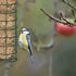 Suet Ball Bird Feeder Outdoor Hanging Metal Wire Wild Bird Feeder Fat Ball Food Feeder (1)...