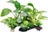 Smoothedo-Pets Fish Tank Decorations Aquarium Decor 5pcs Ornaments Betta Leaf pad Hammock Composite Plastic Artificial Plant Goldfish Waterscape F...
