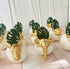 JeVenis Set of 5 Jungle Safari Animal Cake Mold Jungle Safari Animal Cupcake Decoration Jungle Animals Cookie Cutters Jungle Safari Animal Cake De...
