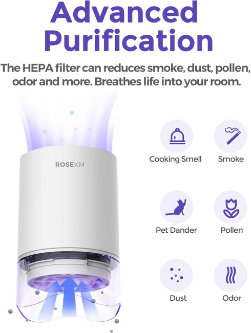 1-Year Pack Air Purifier Replacement Filter for AP001R, True HEPA Filter, 4 Pack...