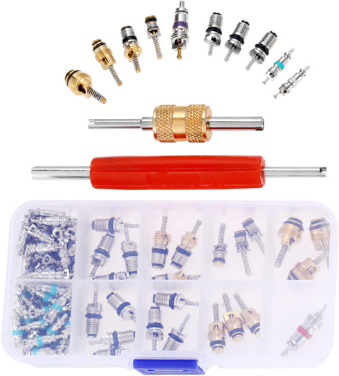 Mtsooning 102PCS Air Conditioning Valve Core Accessories Kit, AC R12 R134A Refrigeration Tire Valve Stem Cores & Removal Installer Tool, R134A Val...