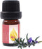 Essences Bulgaria Moldavian Dragonhead Essential Oil 1/3 Fl Oz | 10ml | Dracocephalum Moldavica | 100% Pure and Natural | Undiluted | Therapeutic ...