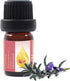 Essences Bulgaria Moldavian Dragonhead Essential Oil 1/3 Fl Oz | 10ml | Dracocephalum Moldavica | 100% Pure and Natural | Undiluted | Therapeutic ...