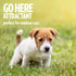 OUT! PetCare Go Here Attractant Indoor and Outdoor Dog Training Spray - House-Training Aid for Puppies and Dogs - 32 oz...
