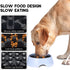 Slow Feeder Dog Bowls Insert, Animire Soft Silicone Anti-Choking Puzzle Slow Feeder, Anti-Slip Slow Down Eating Feeder Insert, Compatible with Reg...