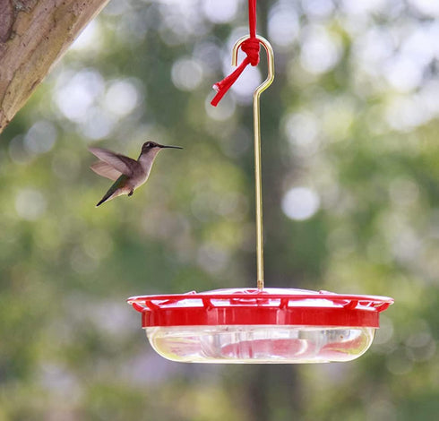 HighView 14 Oz Hummingbird Feeder Hanging Outdoor Nectar Feeding Station with 5 Ports and Perch...