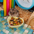 2 Pcs Hamster Ceramic Food Bowl Anti-turning Food & Water Dish for Hamster Gerbil Hedgehog Rat Rodent (Green and Purple)...