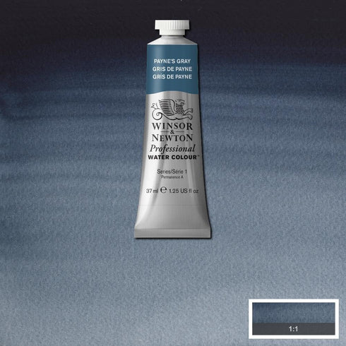 Winsor & Newton Professional Water Colour Paint, 1.25-oz Tube, Payne’s Gray...