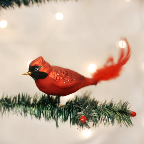 Old World Christmas Large Red Cardinal Glass Blown Ornament for Christmas Tree...