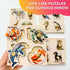 QUOKKA Wooden Puzzles for Toddlers 1-3 – 4 Set Pegged Puzzles for Kids Ages 2-4 – Animal and Birds Learning Toy for Kids – Gift Realistic Educatio...