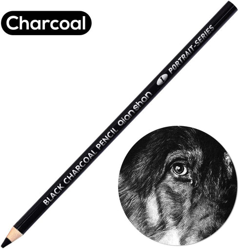 qianshan 2 Pcs Black White Color Charcoal Pencils, Professional Hight Quality Sketch Highlight Charcoal Wooden Pencils for Artist Drawing, Sketchi...