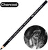 qianshan 2 Pcs Black White Color Charcoal Pencils, Professional Hight Quality Sketch Highlight Charcoal Wooden Pencils for Artist Drawing, Sketchi...