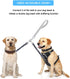 Dog Seat Belt for Bike Basket, Retractable Bicycle Dog Seatbelt, Elastic Pet Safety Leash Harness for Cat, Dog Leash Extension Attachment Shock Ab...
