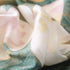 70x35inch Women Silk Feeling Head Hair Satin Scarf Wrapping Long Summer Fashion Lightweight Shawl Travel Beach Airplane (BB beige lotus)...