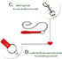 Leather Choker Collar with Long Traction Chain Rugged Durable and Collar Necklace Neck Size Adjustable Suitable for Pets Red...