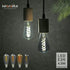ST19(ST58) LED Smoky Grey Glass Edison Bulb, Vintage, 6 Pack, Daylight 5000K, Antique Flexible Spiral LED Filament Light Bulb, Dimmable, 300LM, 4....