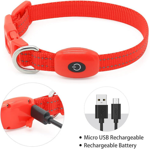 Light up Dog Collar for Small Dog,Vizpet XS Adjustable Size Nylon Collar USB Rechargeable Bright Safety Pet Collar for Cats Dogs (Red?XS)...