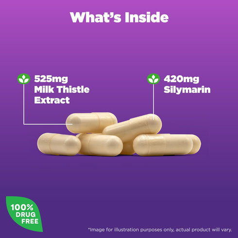 Natrol Milk Thistle 525 mg per serving, Dietary Supplement for Digestive Health, Milk Thistle Supplement, 60 Capsules, 30 Day Supply...
