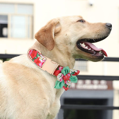 DALUZ Girl Dog Collar with Flower, Adjustable Soft Comfy Floral Dog Collar for Small Medium Large Dogs, Stylish Small Pink Dog Collar with Metal S...