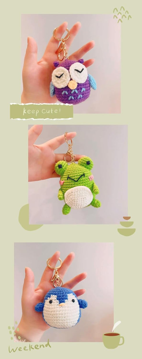 Knitting kit Succulent-Crochet Kit for Beginners with Step-by-Step Video Tutorials-Knitting & Crochet Supplies for Adults with Crochet Yarn-DIY Cr...