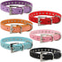 Cute Dazzling Sparkling Elegant Fancy Suede Leather 1 Rows Bling Rhinestone Crystal Jeweled Small Pet Cat Dog Puppy Collar(Purple,M)...