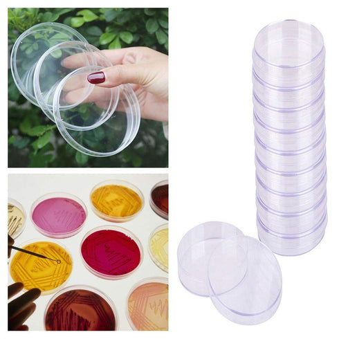 10 Pcs Plastic Petri Dish Sterile Bacterial Culture Dish Laboratory Plant Cell Tissue Culture Petri Dish Accessories Premium Cell Tissue Culture D...