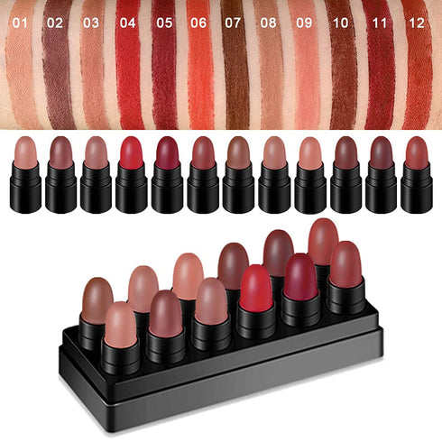 evpct 12Pcs Capsule Pills Lipstick Mini Matte Lipstick Sets for Women labiales mate 24 horas originales Dark Brown Red Nude Small Candy Lipstick S...