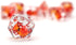 FanRoll by Metallic Dice Games Dragon StormTM Inclusion Resin Dice Set: Red Dragon...