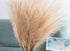 UiiziC Faux Pampas Grass Dried Fluffy Artificial 6pcs 35" Ascendant Grass for Vase Fillers Wedding Party Bouquets Home Hotel Centerpieces Decor (B...